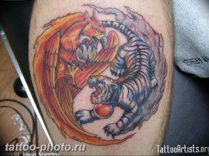 фото тату тигр и дракон 07.12.2018 №055 - tattoo tiger and dragon - tattoo-photo.ru
